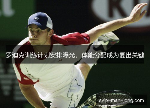 罗迪克训练计划安排曝光，体能分配成为复出关键